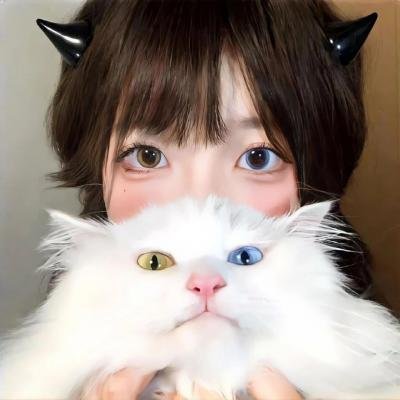 13朵玫瑰