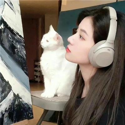 沉默的伙伴